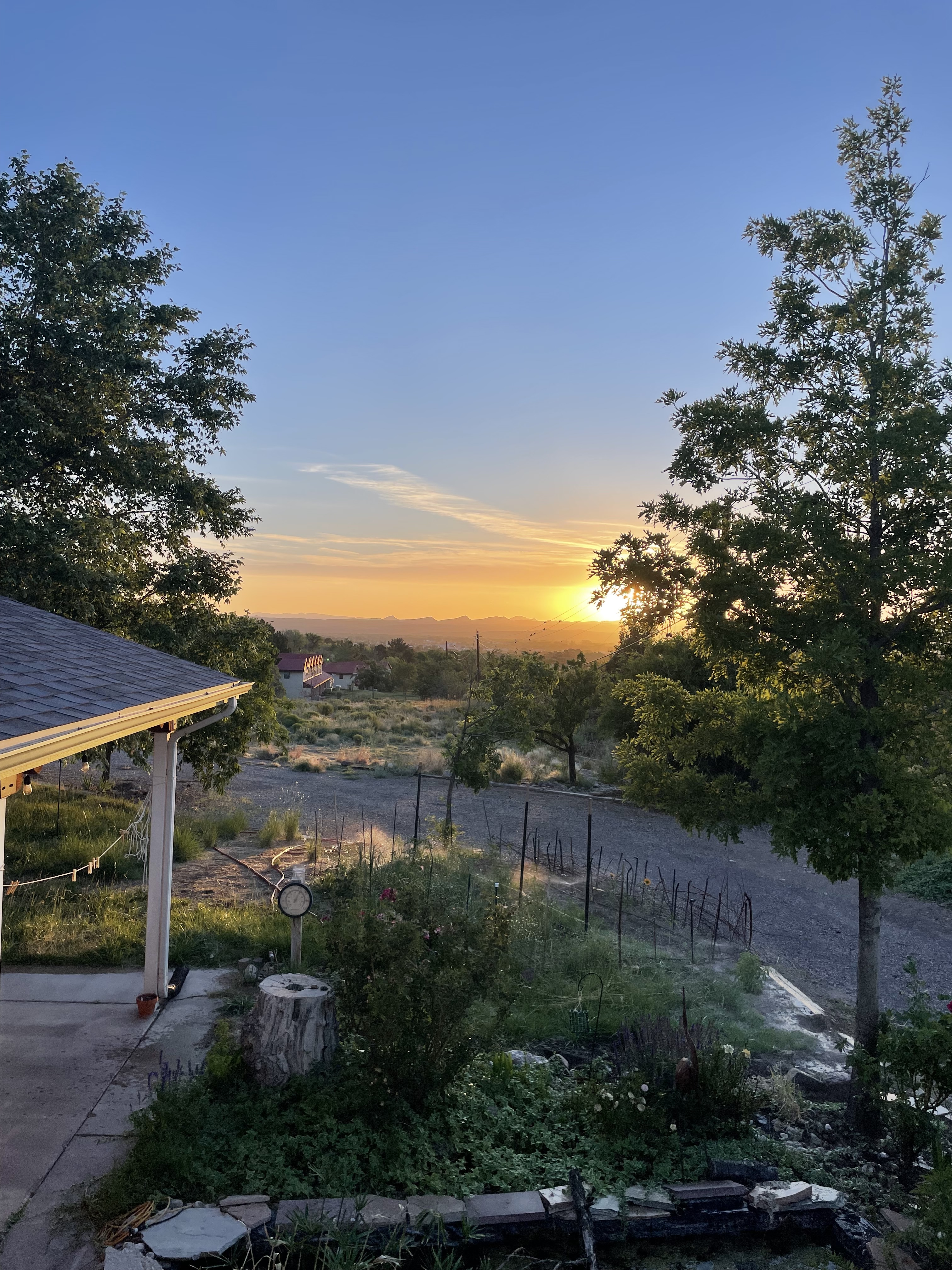 493 Mesa Sunset 